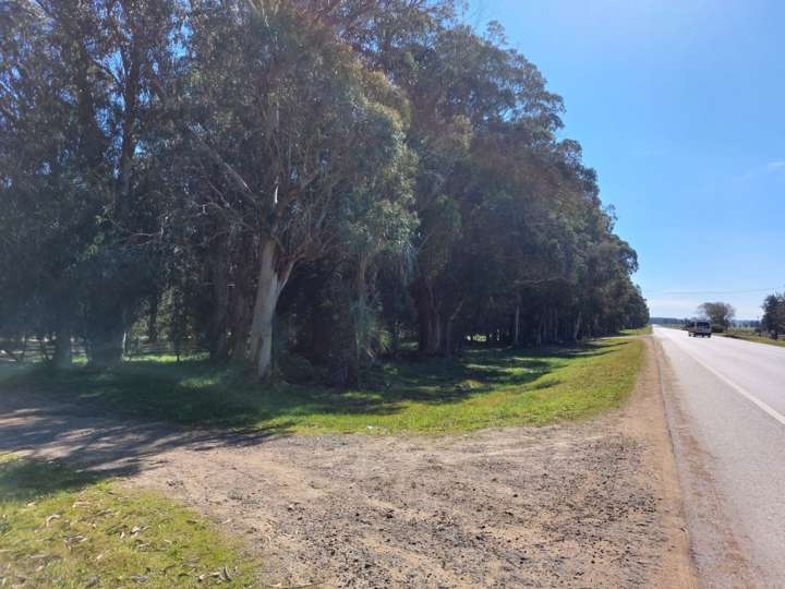 Granja en venta en Ruta 15, Rocha