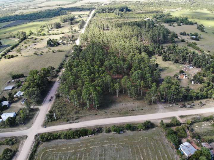 Granja en venta en Escribano Joaquin Brandao Sosa, Chacras de Paysandú
