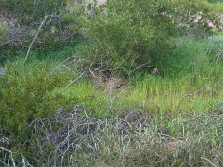 Terreno en venta en Rocha