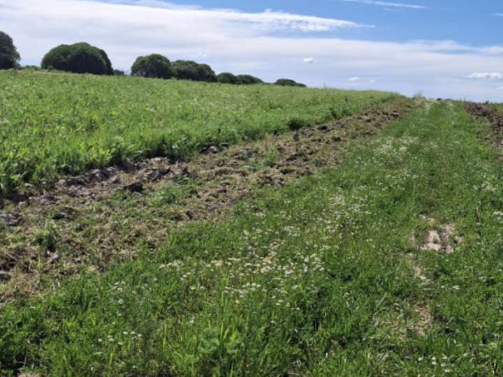 Granja en venta en Canelones