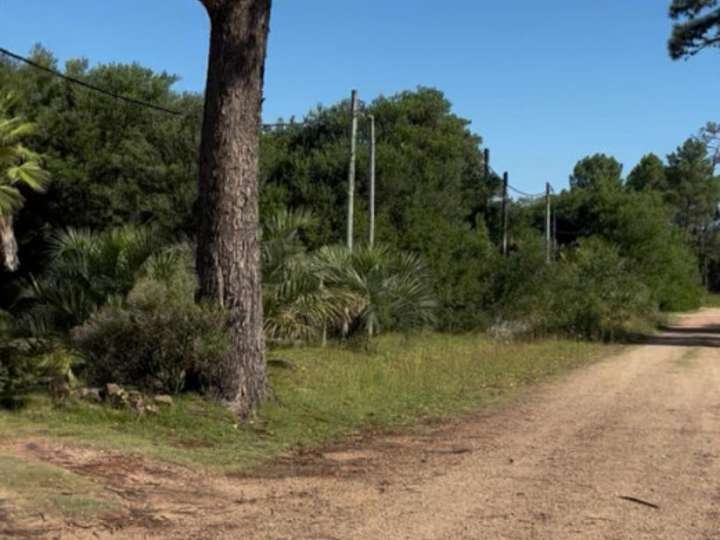 Terreno en venta en Maldonado