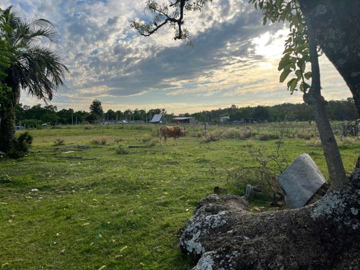 Terreno en venta en Tacuarembó