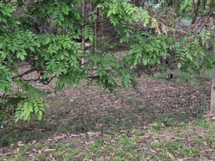 Terreno en venta en Marindia