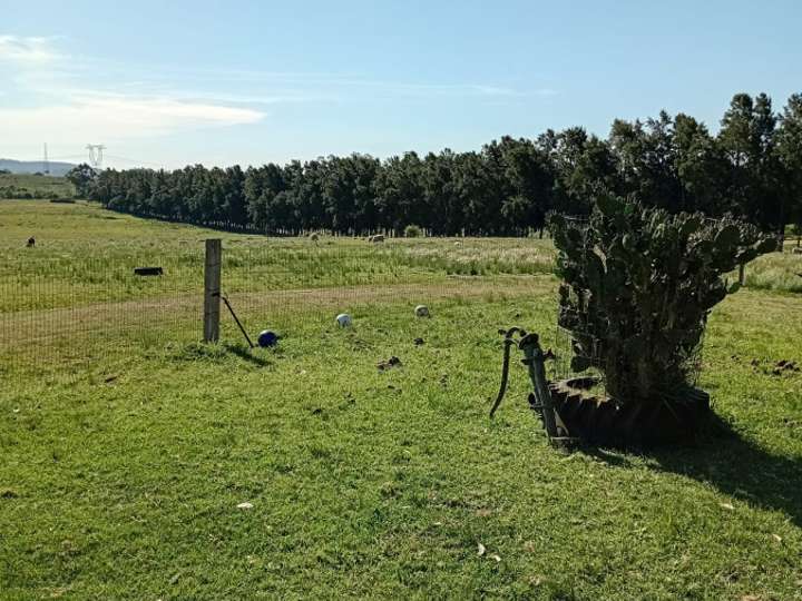 Granja en venta en Ruta 39, Maldonado