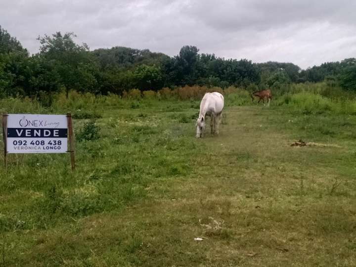 Terreno en venta en Asamblea de la Florida, Colonia