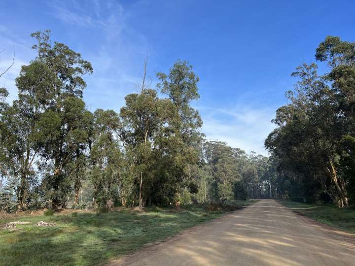 Terreno en venta en Villa Delia, Maldonado