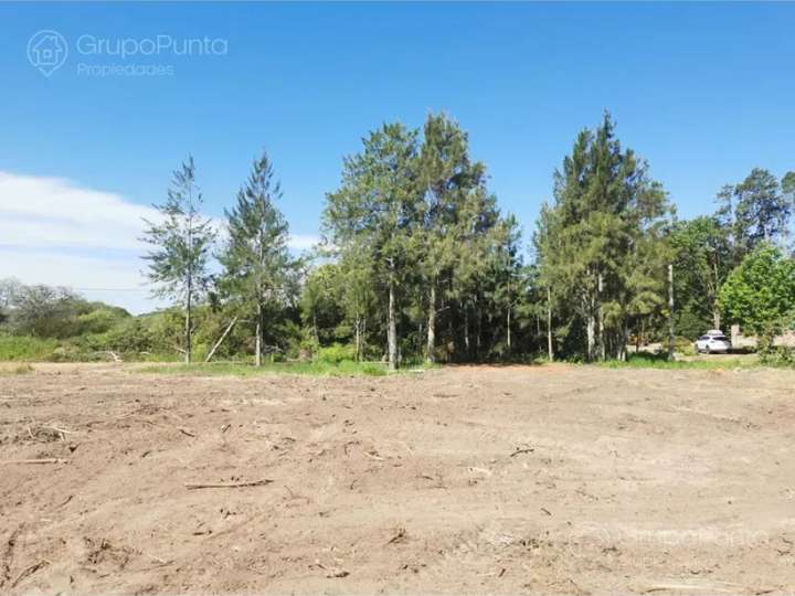 Terreno en venta en Punta Ballena