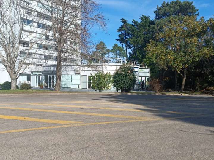 Comercial / Tienda en venta en Maldonado