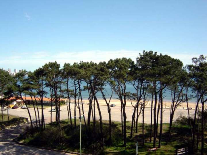 Apartamento en venta en Maldonado