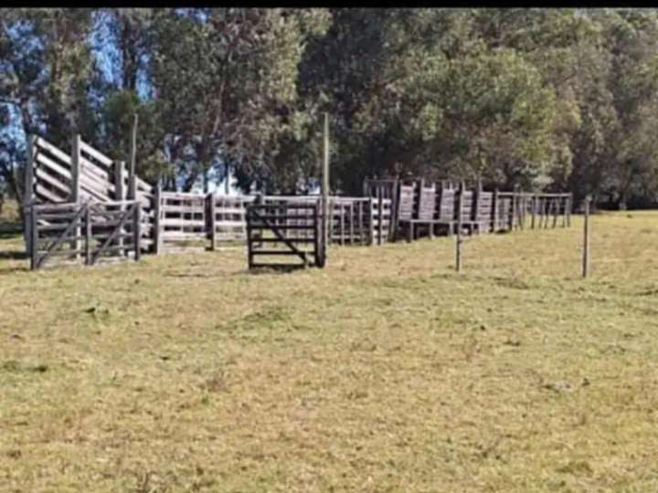 Granja en venta en Camino de los Ceibos, Maldonado