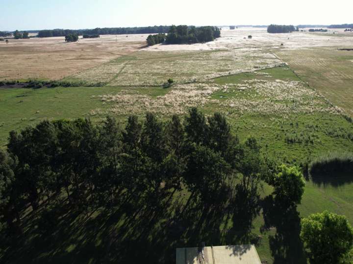Terreno en alquiler en Partido de Punta Indio, Buenos Aires
