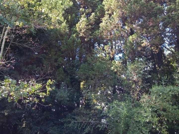 Terreno en venta en San Martín, Buenos Aires