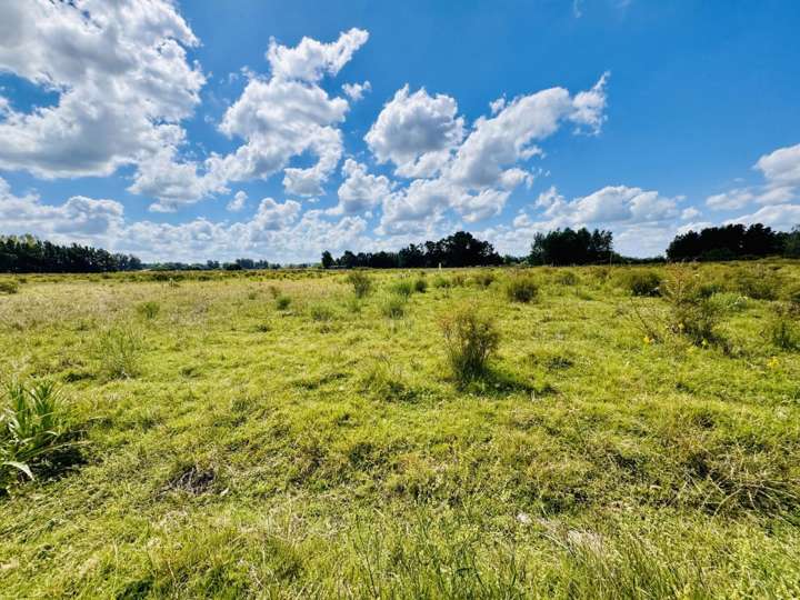 Granja en venta en Camino de los Ceibos, Maldonado