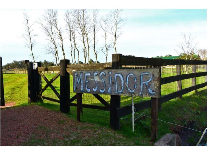Granja en venta en Maldonado