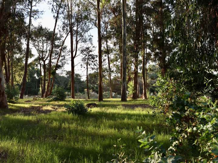 Terreno en venta en La Barra