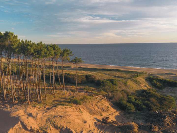 Terreno en venta en Punta Ballena