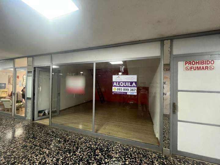 Comercial / Tienda en alquiler en Maldonado