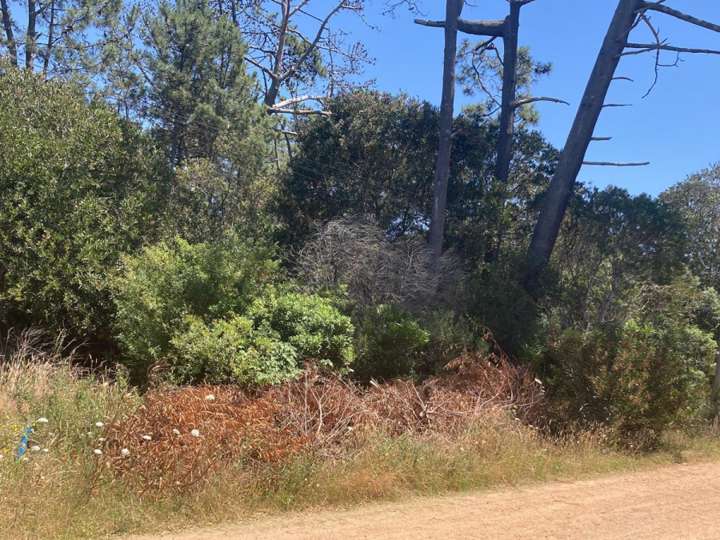 Terreno en venta en Maldonado