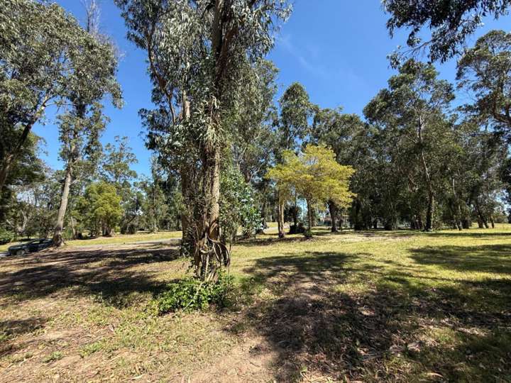 Terreno en venta en Maldonado