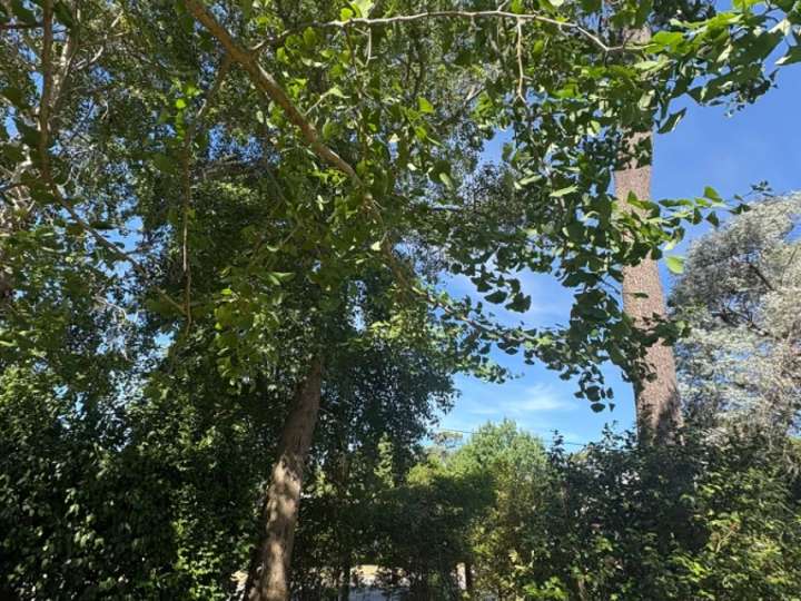 Casa en venta en Durazno, Maldonado