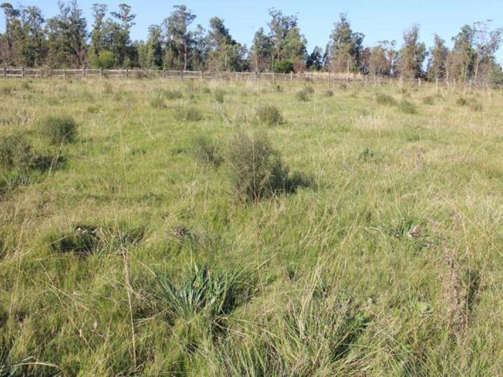 Terreno en venta en Liber Falco, Maldonado