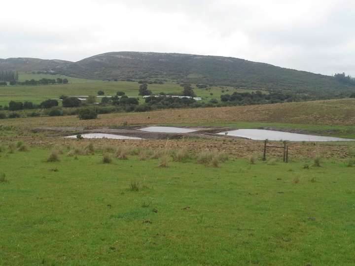 Granja en venta en Rambla General Artigas, Maldonado
