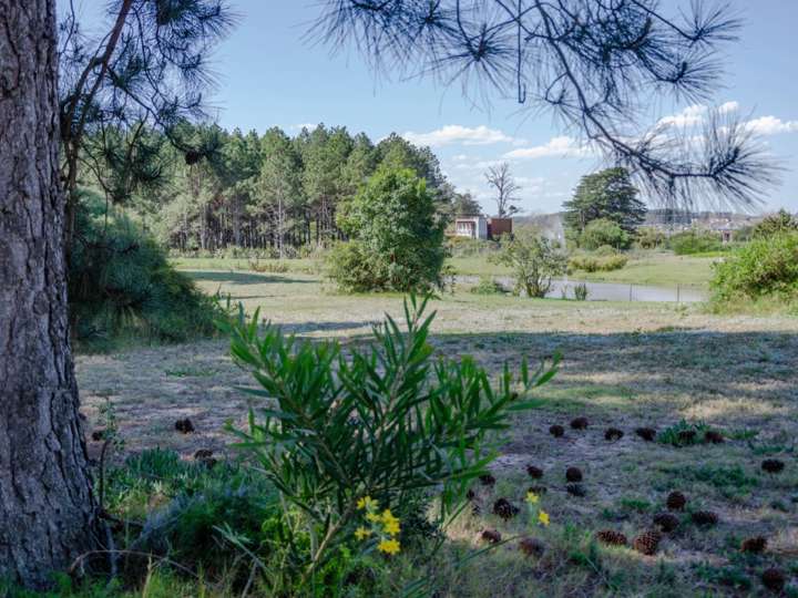 Terreno en venta en Ruta Interbalnearia General Líber Seregni, Punta Ballena