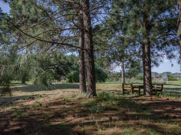 Terreno en venta en Ruta Interbalnearia General Líber Seregni, Punta Ballena