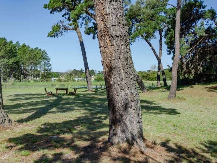 Terreno en venta en Ruta Interbalnearia General Líber Seregni, Punta Ballena