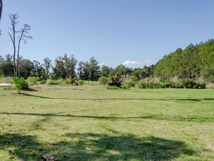 Terreno en venta en Ruta Interbalnearia General Líber Seregni, Punta Ballena