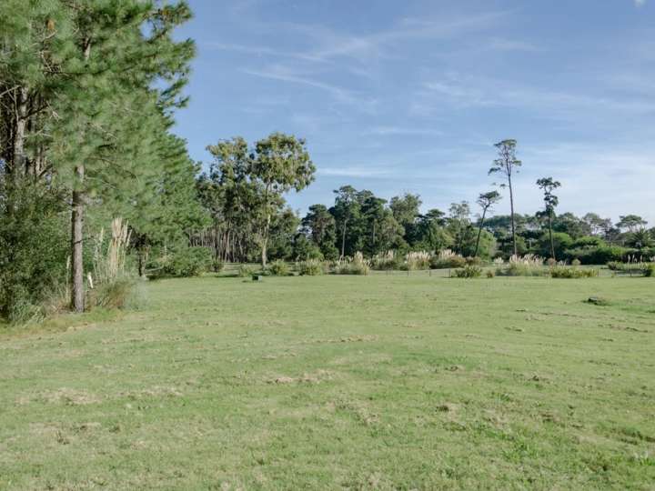 Terreno en venta en Ruta Interbalnearia General Líber Seregni, Punta Ballena