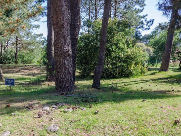Terreno en venta en Ruta Interbalnearia General Líber Seregni, Punta Ballena