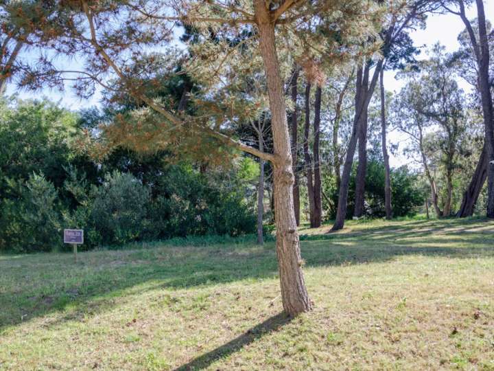 Terreno en venta en Ruta Interbalnearia General Líber Seregni, Punta Ballena