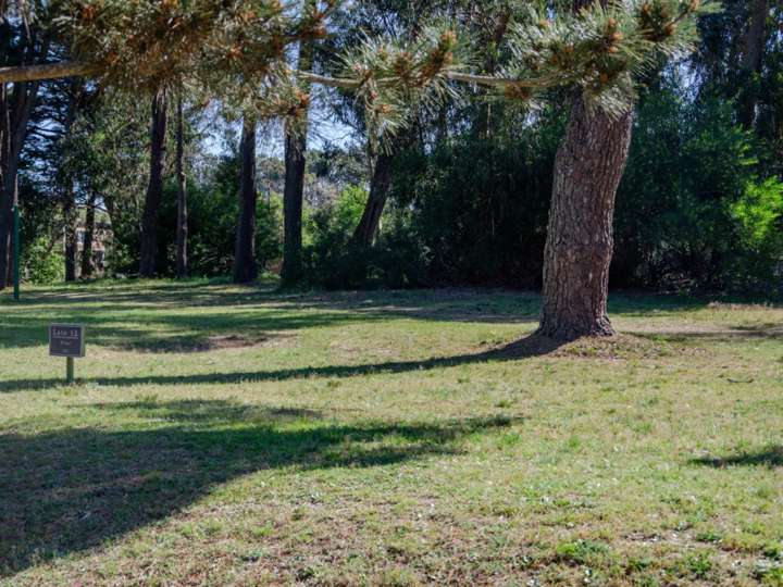 Terreno en venta en Ruta Interbalnearia General Líber Seregni, Punta Ballena