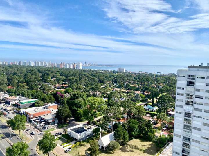 Apartamento en venta en Avenida Franklin Delano Roosevelt, Maldonado