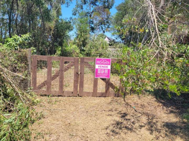 Terreno en venta en Calle 40 - La Viguela, Buenos Aires