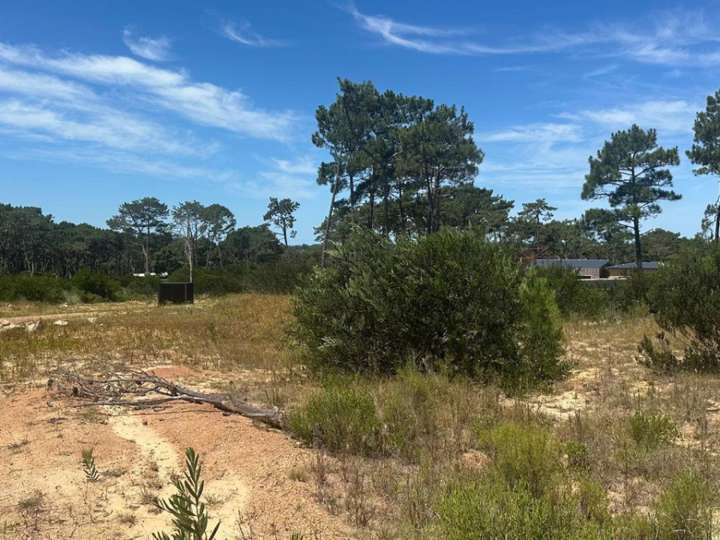 Terreno en venta en La Barra