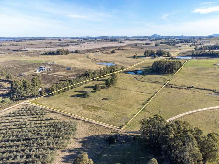 Granja en venta en Avenida Benito Nardone, Maldonado