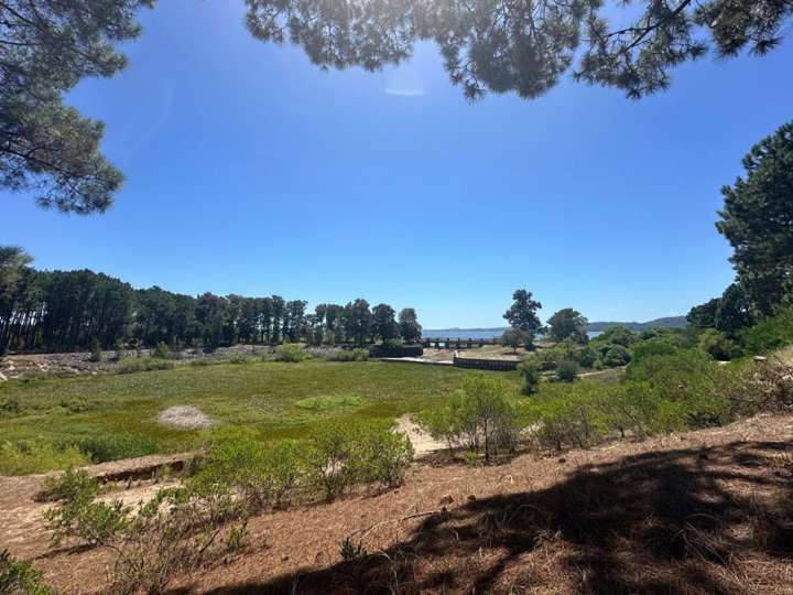 Terreno en venta en Punta Ballena