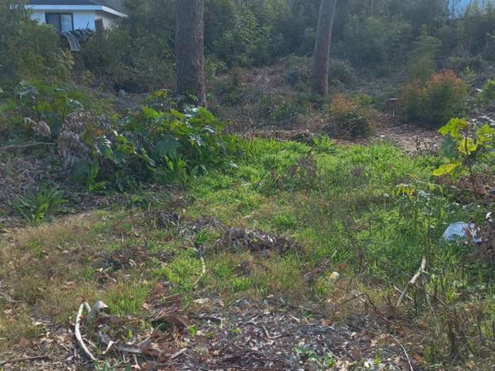 Terreno en venta en Avenida a la Laguna, Maldonado