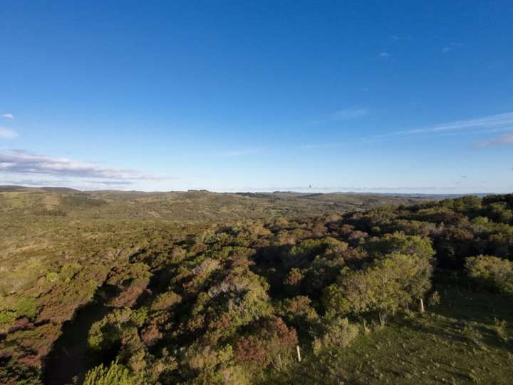 Granja en venta en Camino a Escuela 73, Maldonado