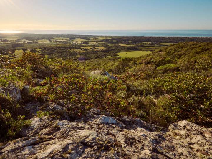 Terreno en venta en Maldonado
