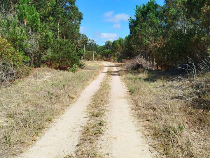 Terreno en venta en Calle 37, Rocha