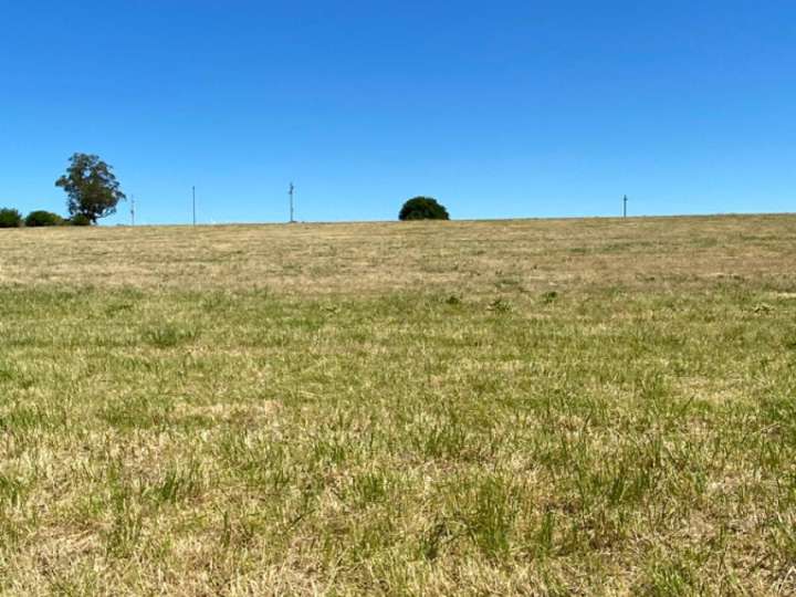 Granja en venta en Ruta 39, Maldonado