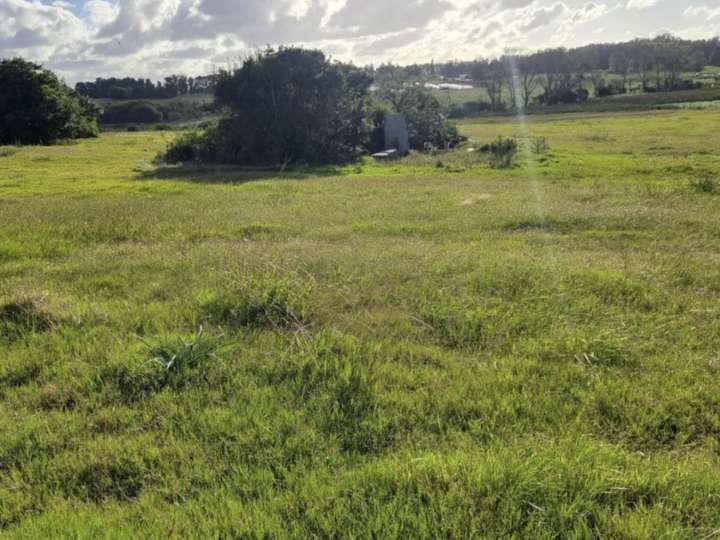Granja en venta en Camino de la Escuela Nº 41, Maldonado