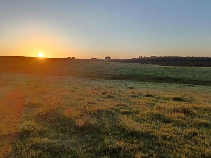Granja en venta en Rambla General Artigas, Maldonado