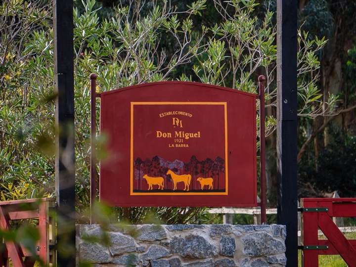 Terreno en venta en Camino de los Flamencos, El Tesoro