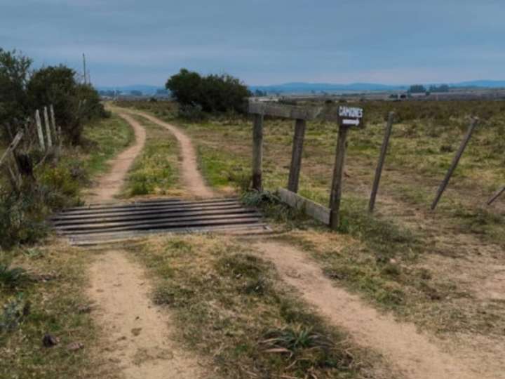 Granja en venta en Vecinal Local Feria, Maldonado