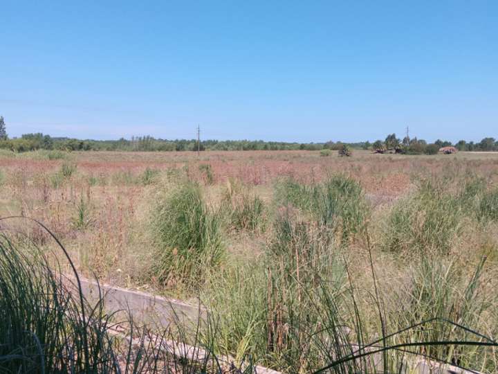 Granja en alquiler en Canelones