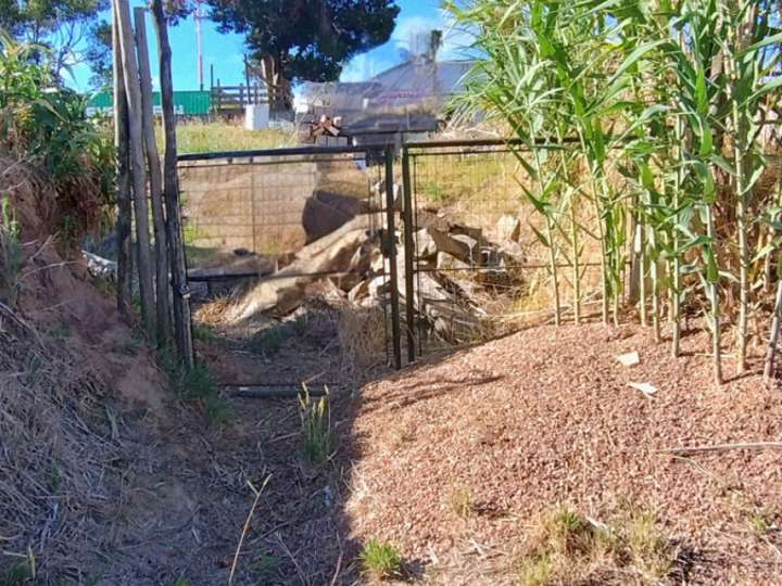 Terreno en venta en Durazno, Maldonado